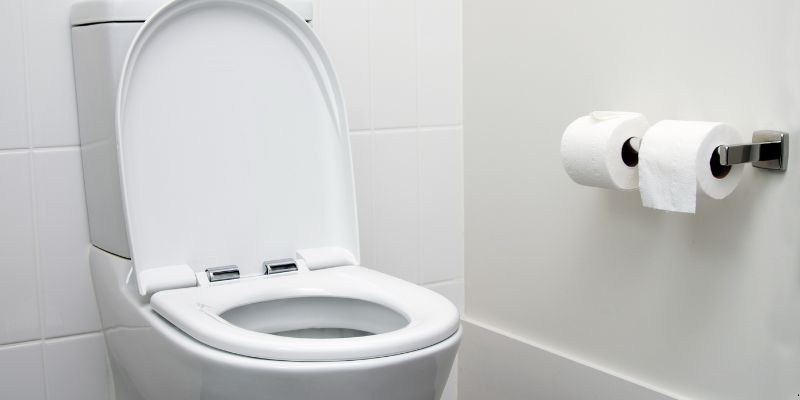 Como desentupir vaso sanitário com garrafa pet em Maceió